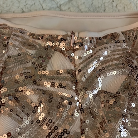 BNWT Sequin Skirt Francesca’s size medium - Picture 4 of 6